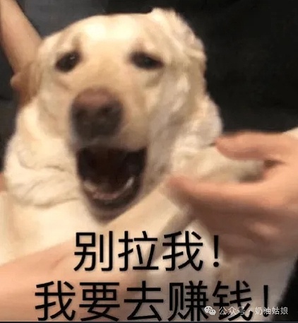 4E金融卡：让你的钱24小时都在打工的支付神器