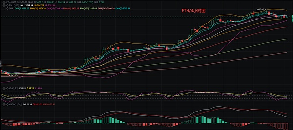 NFT寒冬中的暖阳：熊市里依然闪烁的希望之光