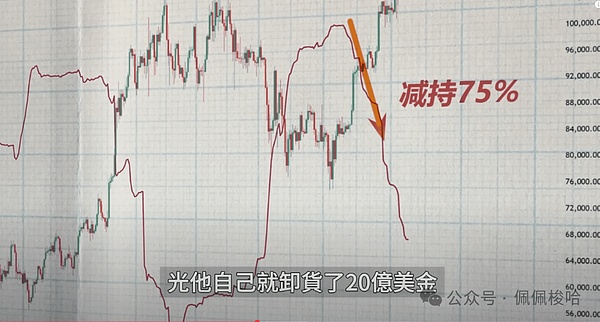 山寨币市场大洗牌：这些币要暴涨，那些币要凉凉