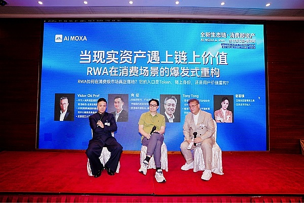 牛市风云录：一个老韭菜的血泪经验谈