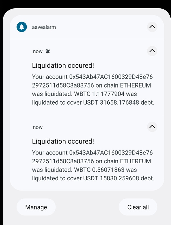 当蚂蚁精英遇上Web3：一场关于信仰的冒险