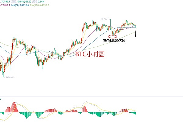 揭秘：比特币暴涨期间，那些神秘巨鲸都在偷偷买什么？