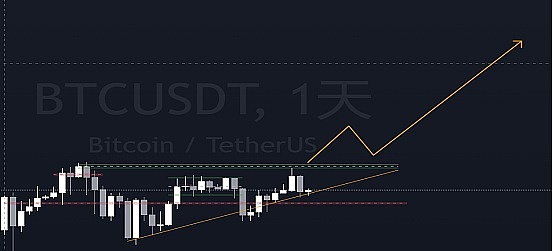 山寨币淘金热：这四个潜力币种值得你关注