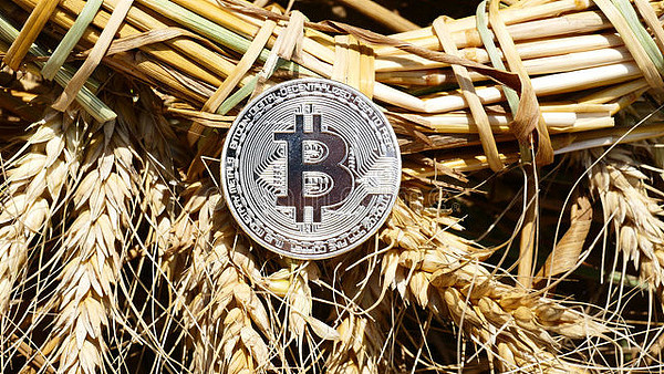 全球Web3认知调查：当数字革命遇上文化差异，我们离真正的互联网革命还有多远？