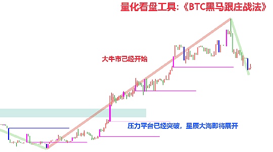 币圈风云：当中本聪重现江湖，我们该如何应对这场血色浪漫？