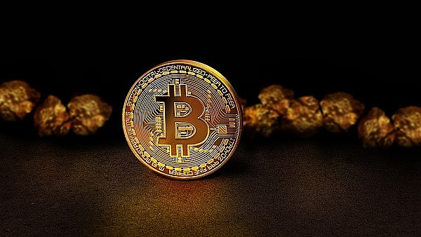 Solana的黑历史与未来展望：2025年价格几何？