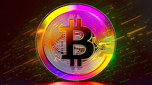 想让你的暴躁鹅成为艺术圈的网红吗？