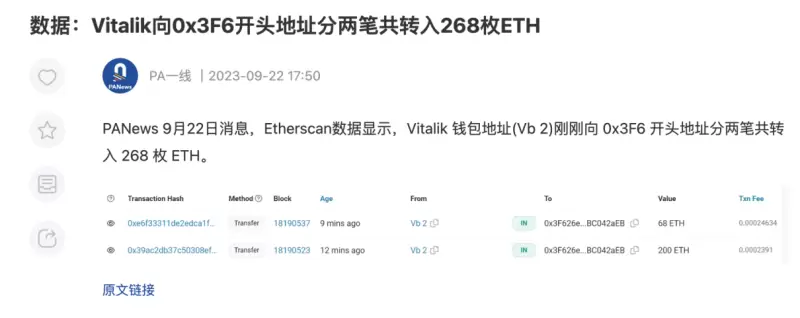 比特币铭文江湖：如何在眼花缭乱的新协议中找到真金？